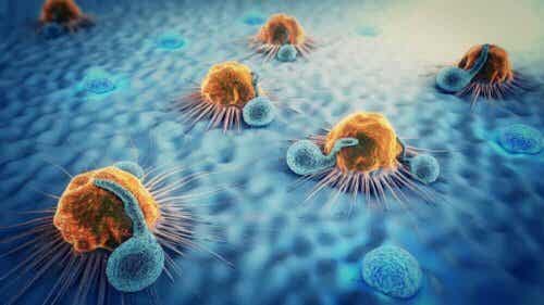 Een afbeelding van kankercellen met uitzaaiingen