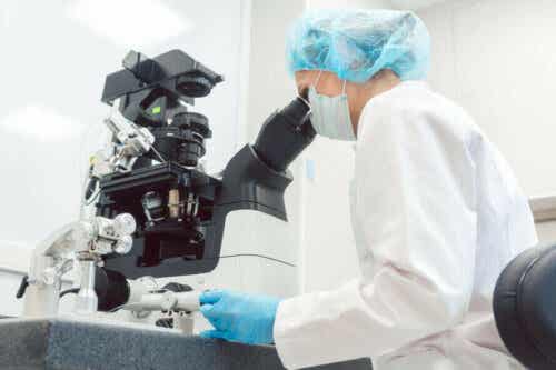 Een arts onderzoekt weefsel met een microscoop
