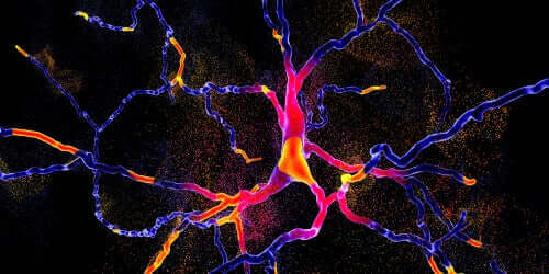 Multisysteematrofie diagnosticeren met nieuwe techniek