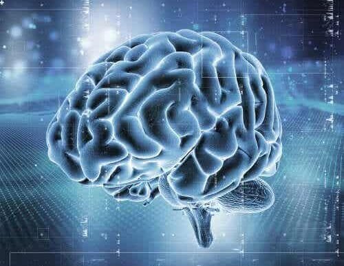 Een digitaal beeld van de hersenen