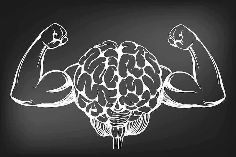 Tekening van het brein