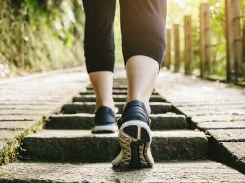 Low-impact cardiovasculaire training: oefeningen en aanbevelingen