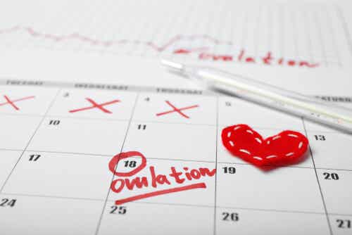 Menstruatiecyclus volgen met behulp van een kalender