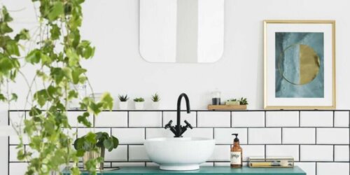 Decoreer de badkamer met planten: 7 ideeën