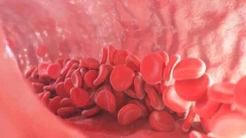 Bloedplaatjes in het lichaam