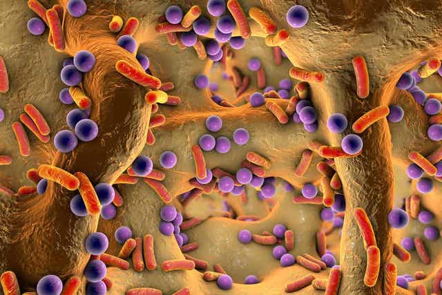 Een blessure met een botinfectie kan voor ernstige gevolgen zorgen