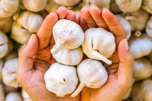 Handvol knoflook