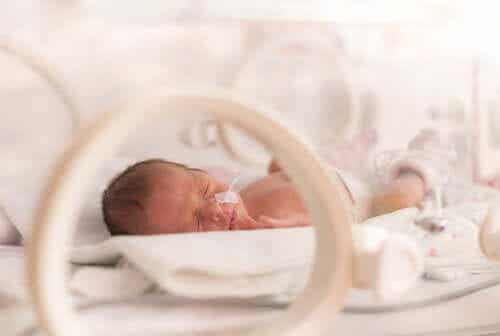 Baby in de couveuse