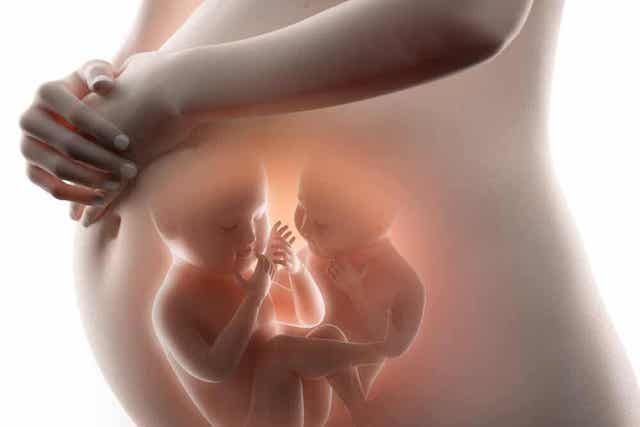 Zwangere buik met een tweeling