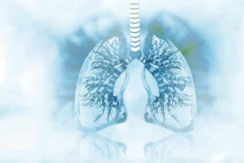 Een afbeelding van ontstoken longen