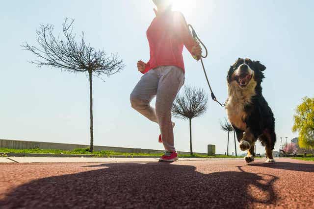 Kom in beweging om een sedentaire levensstijl te voorkomen
