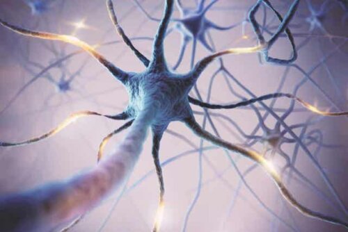 Een neuron in het lichaam