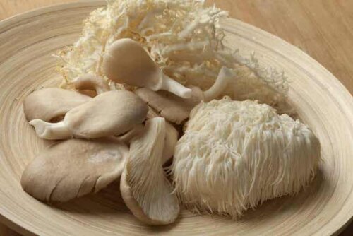Verschillende soorten paddenstoelen op een bord
