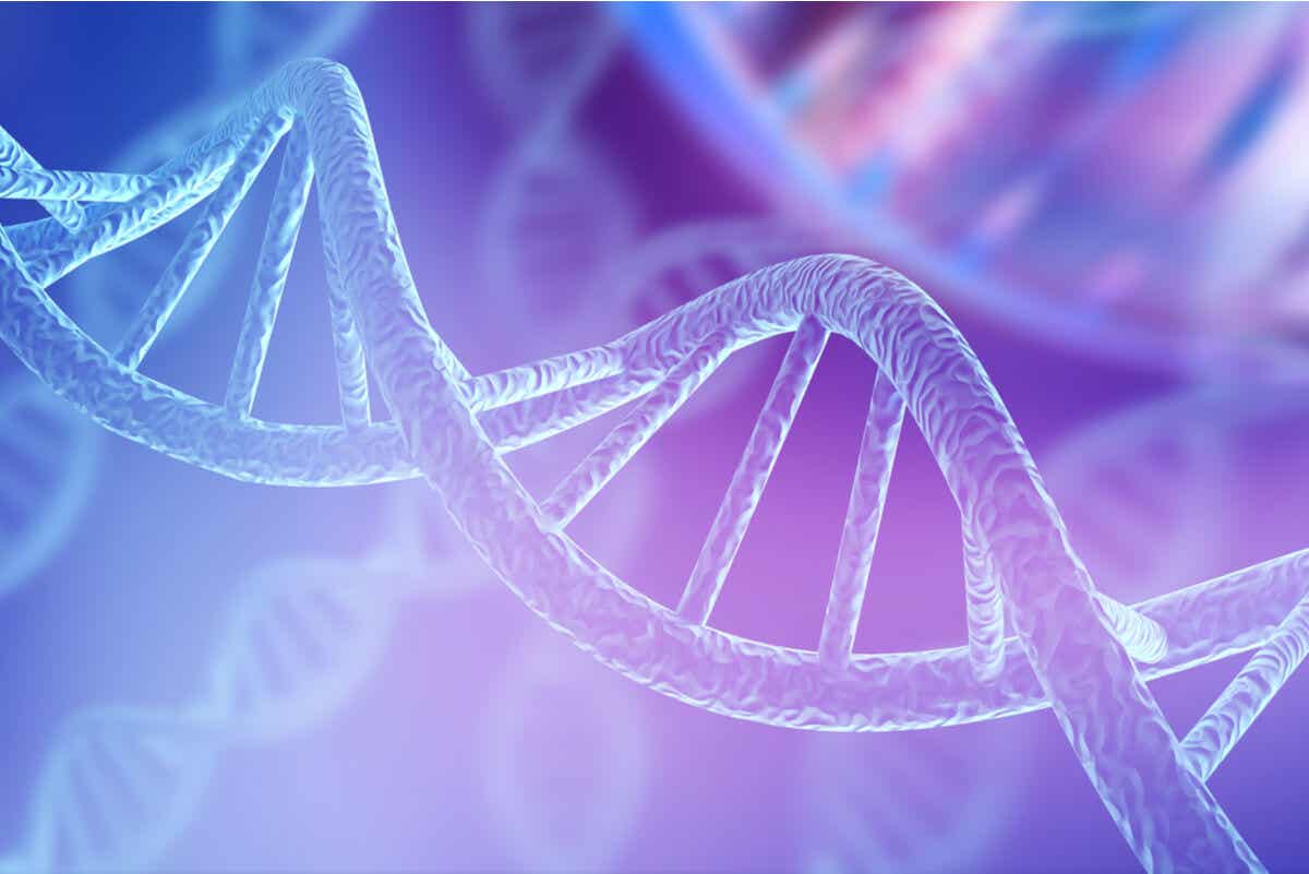 DNA-streng
