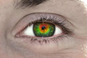 Wat is tetrachromatie en wat betekent het?