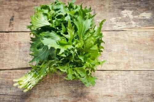 De voordelen van mizuna: voedingswaarde en bereiding