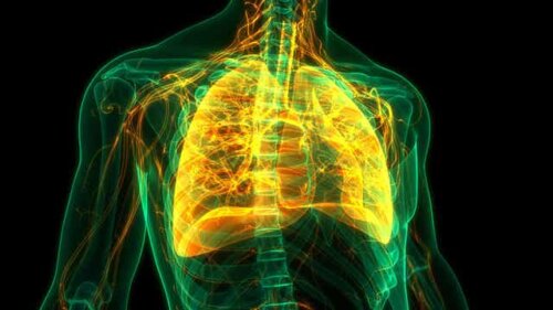 Een digitaal beeld van een infectie die door het lichaam loopt