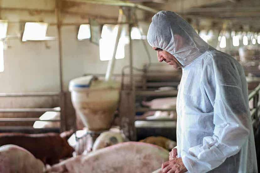 Boeren hebben ook te maken met lawaai