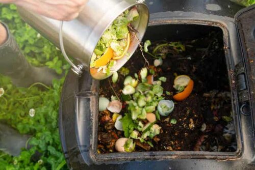 Zelf thuis compost maken