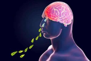 Infectie met Naegleria fowleri: de hersenetende amoebe