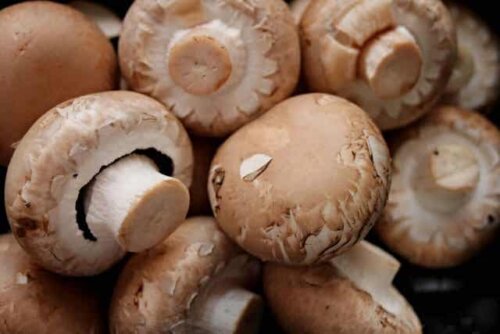 Een bergje champignons