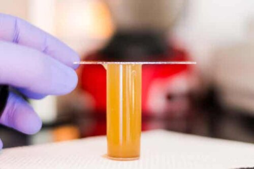 Onderzoek in een laboratorium
