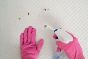 8 mythes over het schoonmaken van beddengoed en matrassen
