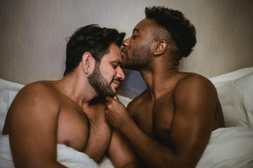 Twee mannen in bed