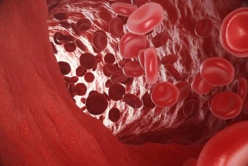 Arteriële hypoxemie: wat het is en wat de oorzaak ervan is