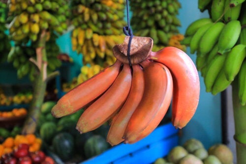 Ken jij de rode banaan en zijn voordelen?