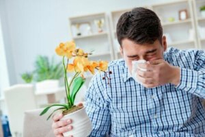 Hooikoorts: 10 remedies om de klachten te bestrijden