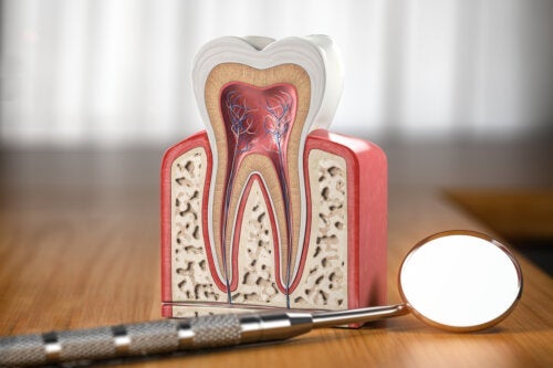 Waar zijn tanden van gemaakt?