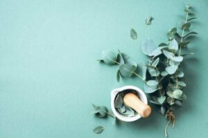 De voordelen van etherische olie van eucalyptus binnen ieders bereik