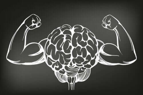 De 8 beste activiteiten om je hersenen te versterken