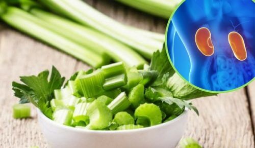 Vijf kruidenremedies om te proberen bij nierpijn