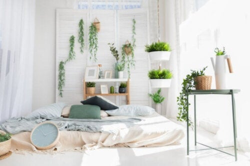 Planten in de slaapkamer: verbruiken ze onze zuurstof?