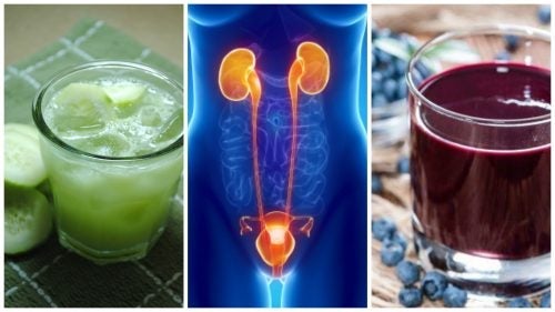 6 natuurlijke drankjes om infecties van de urinewegen te bestrijden