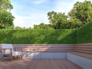 De beste bomen en struiken voor privacy in de tuin
