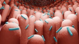 Postbiotica: wat ze zijn en hoe je ze kunt krijgen