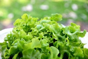 Kan slathee me helpen om beter te slapen?