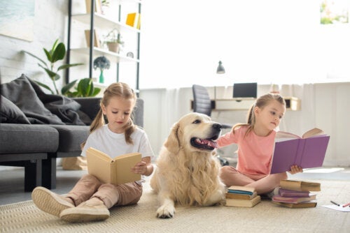 Lezen verandert de hersenen en komt de geestelijke gezondheid ten goede