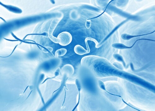 18 interessante feiten die je waarschijnlijk niet wist over zaad en sperma