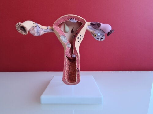 9 feiten over baarmoederhalsslijm die elke vrouw moet weten