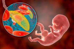 Posterior of anterior placenta: wat betekent het in de zwangerschap?