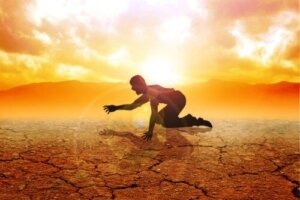 Wat zijn voedselwoestijnen en wat is hun effect op de gezondheid?