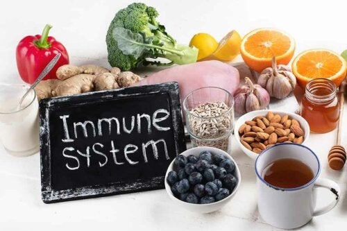 5 Voedingsmiddelen die je immuunsysteem helpen versterken