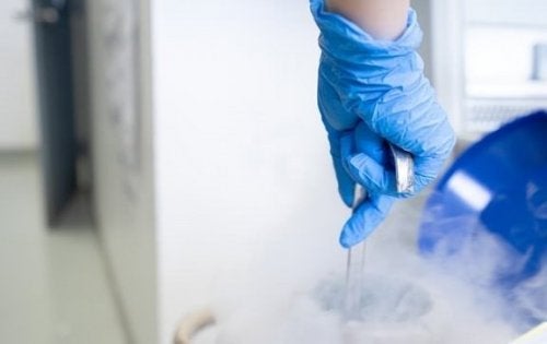 Eiceldonatie, een daad van solidariteit