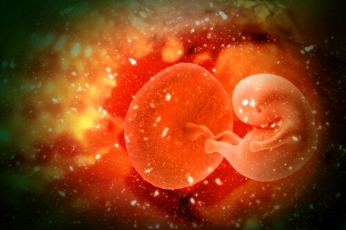 Wat is embryoadoptie en wat zijn de voordelen?