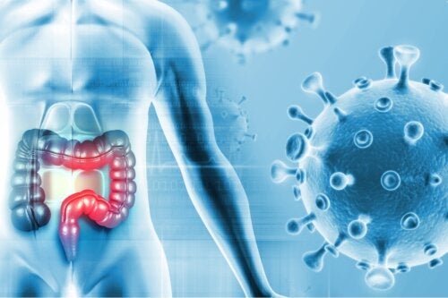Een nieuwe studie identificeert mondbacteriën die darmkanker kunnen veroorzaken