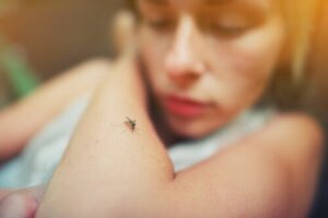 Dengue-vaccin: alles wat je erover moet weten